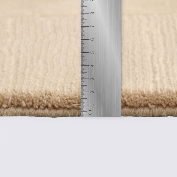 tapis uni avec bordure moderne beige crème fait main grand 200cm 300cm salon